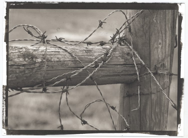 Fence and barbed wire