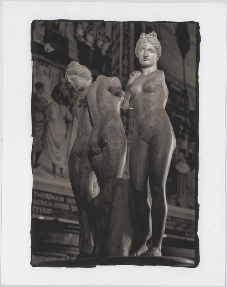 Three Graces, Sienna